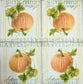 2 Individual Paper Cocktail Decoupage Napkins - 2082 Autumn Harvest Pumpkins