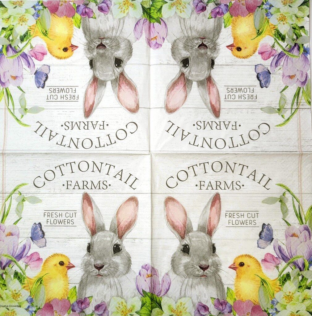 2 Individual Paper Lunch Decoupage Napkins - 2336 Cottontail Farms Bunny & Chick