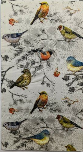 TWO Individual Paper Guest Decoupage Napkins- Natures Colorful Birds 1266