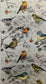 TWO Individual Paper Guest Decoupage Napkins- Natures Colorful Birds 1266