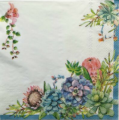 TWO Individual Paper Lunch Decoupage Napkins - 1490 Soft Succulents