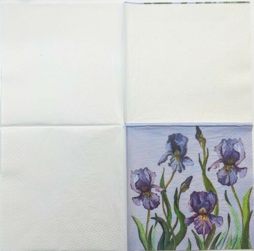 TWO Individual Paper Lunch Decoupage Napkins- Purple Iris Flowers 1226