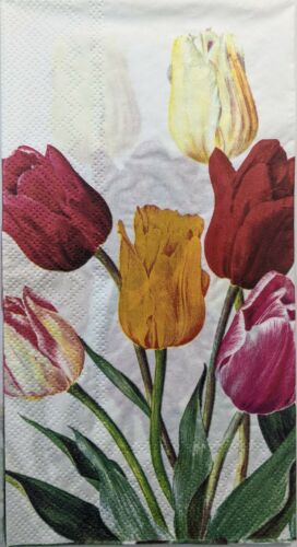 TWO Individual Paper Guest Decoupage Napkins -Tulip Splendor Welcome Spring 1182